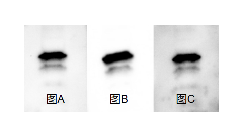 a035b5e361958a9b329caaff3d84b29