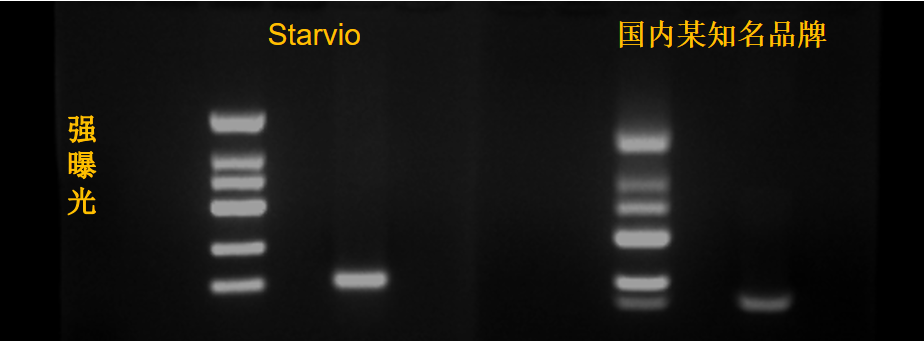 0f91bebe2520083201ecf14adf386e4